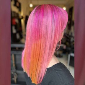 @harnessandmane