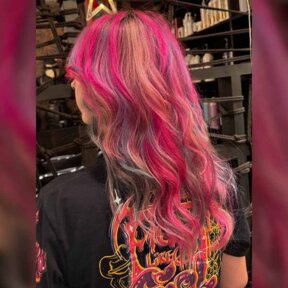 @harnessandmane