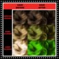 Electric Lizard High Voltage Classic Haarfarbe | Manic Panic DE