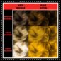 Coloration Capillaire Sunshine High Voltage Classic | Manic Panic